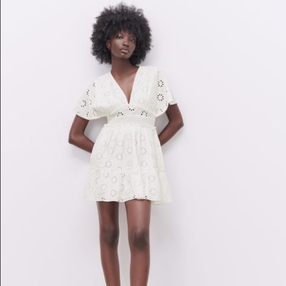 Zara Openwork Embroidered Mini Dress